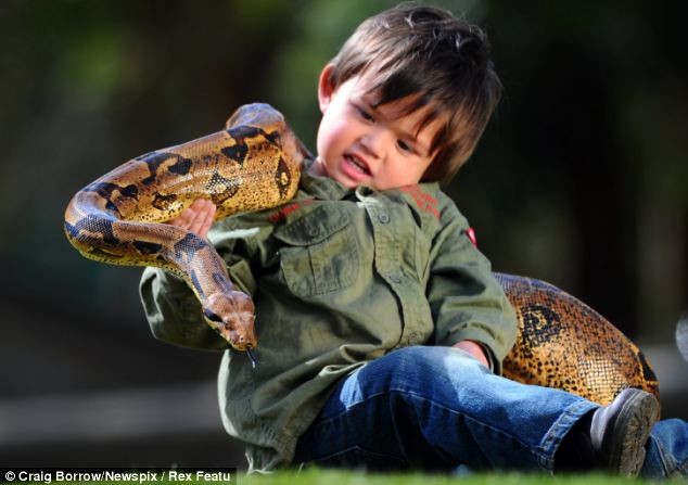Ο δίχρονος που δαμάζει τα φίδια