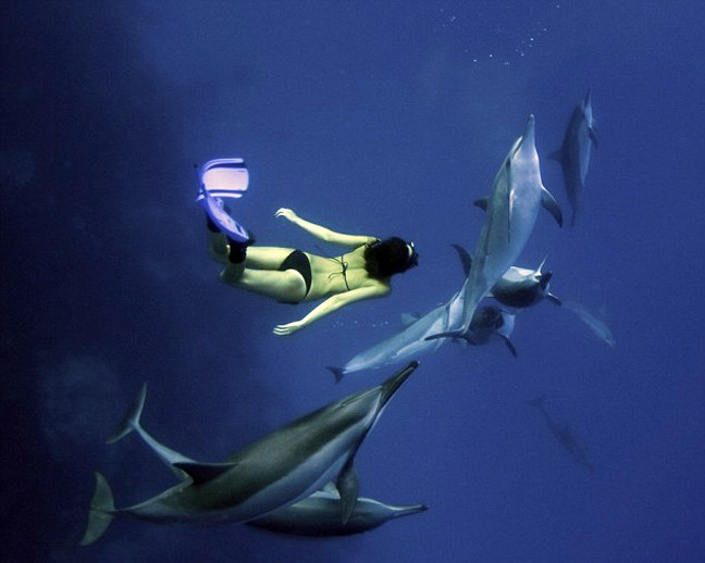Εκπληκτικές φωτογραφίες: Κολυμπώντας με τα δελφίνια...