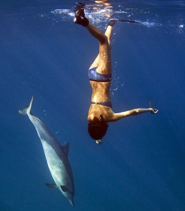 Εκπληκτικές φωτογραφίες: Κολυμπώντας με τα δελφίνια...