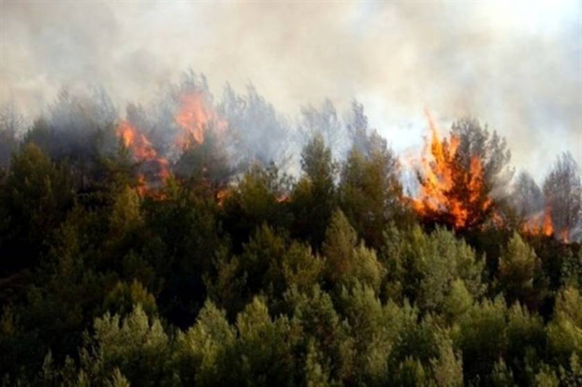 Χανιά: Μεγάλη φωτιά απειλεί σπίτια και αρχαιολογικό χώρο