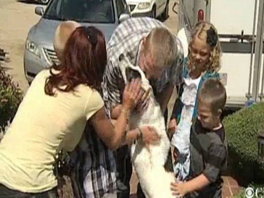 Συγκινητικό: Βρήκαν το σκύλο τους μετά από τέσσερα χρόνια