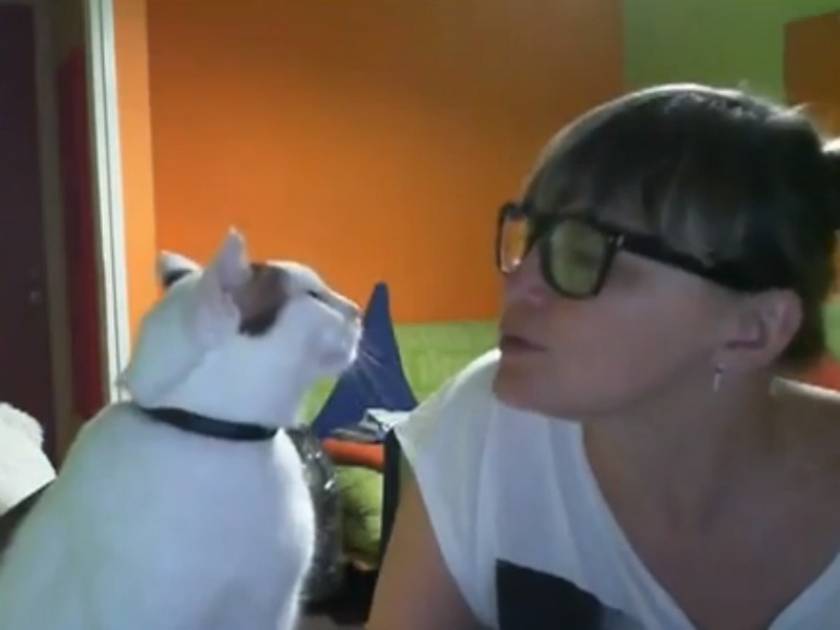 Βίντεο: Γάτα με... γούστο!