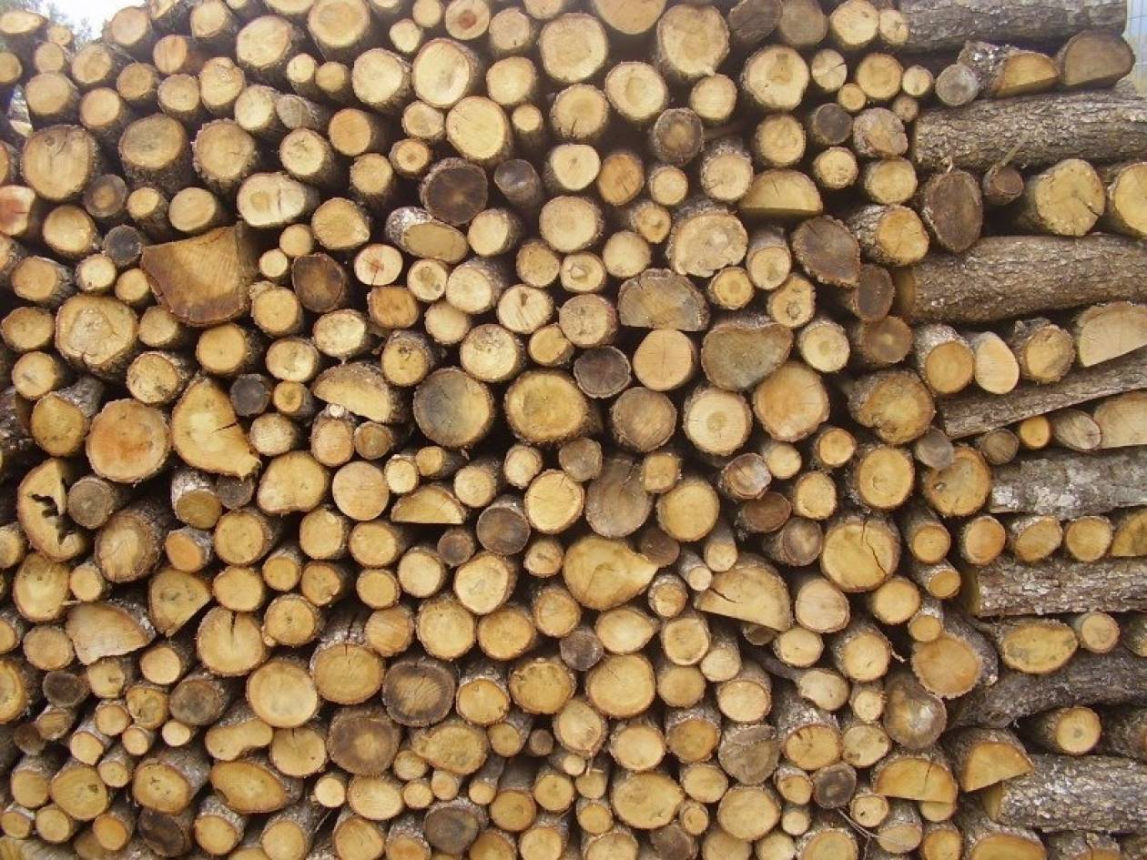 Κιλκίς: Κατασχέθηκαν πάνω από 200 τόνοι ξυλείας