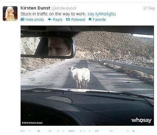 Kirsten Dunst: Κολλημένη πίσω από ένα πρόβατο