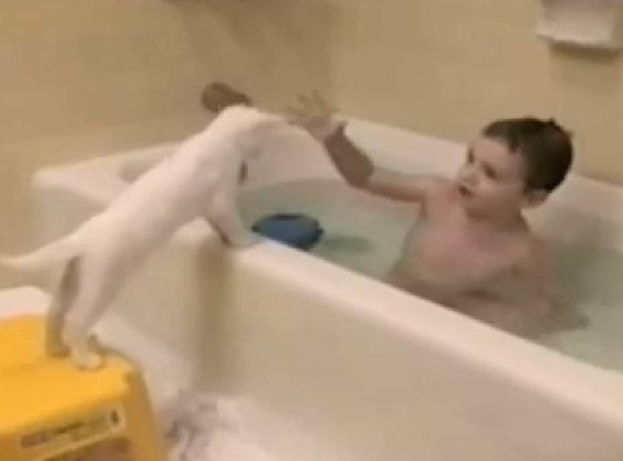 Τι γίνεται όταν ένα παιδάκι τραβάει τη γάτα στη μπανιέρα