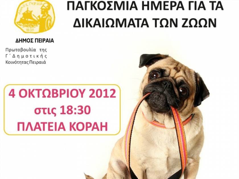 Ο Δήμος Πειραιά γιορτάζει την Παγκόσμια Ημέρα των Ζώων