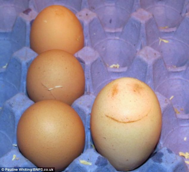 Η κότα της γέννησε... χαμογελαστό αυγό! (φωτό)