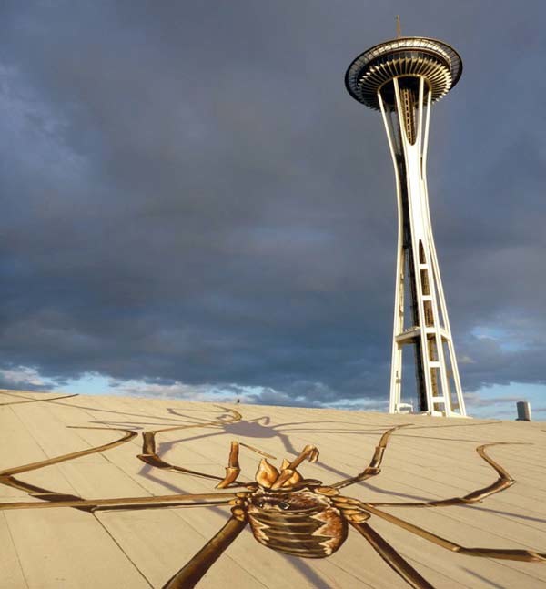Γιγαντιαίες αράχνες στην ταράτσα κτιρίου! (pics)
