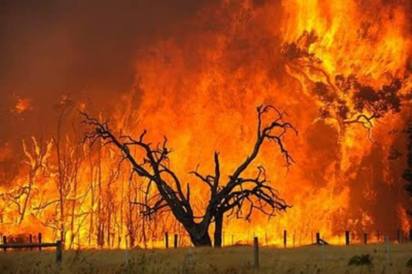 Κρήτη: Πυρκαγιά στη Μαλάξα