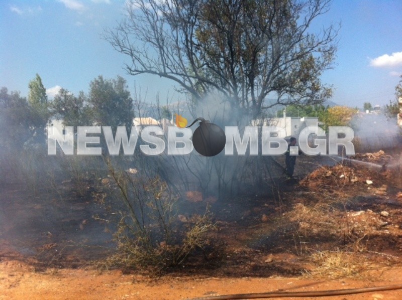 Βίντεο: Φωτιά απείλησε σπίτια στη Νέα Κηφισιά 
