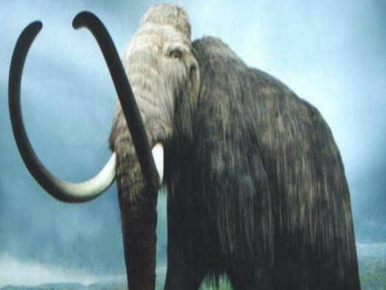 11χρονος ανακάλυψε μαμούθ 30.000 ετών στην Σιβηρία