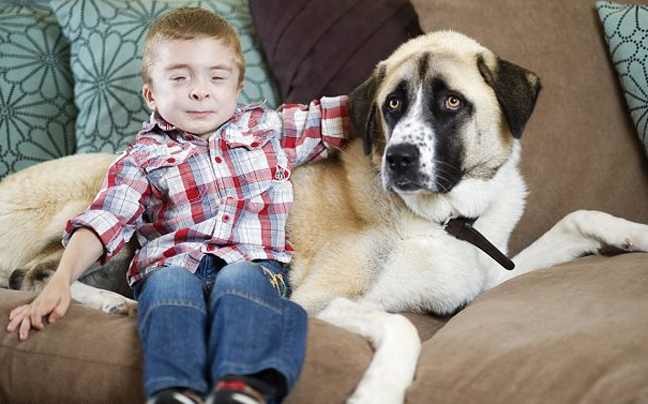 7χρονος με σπάνιο σύνδρομο ξεπέρασε τη φοβία με τη βοήθεια ενός σκύλου