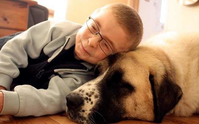 7χρονος με σπάνιο σύνδρομο ξεπέρασε τη φοβία με τη βοήθεια ενός σκύλου