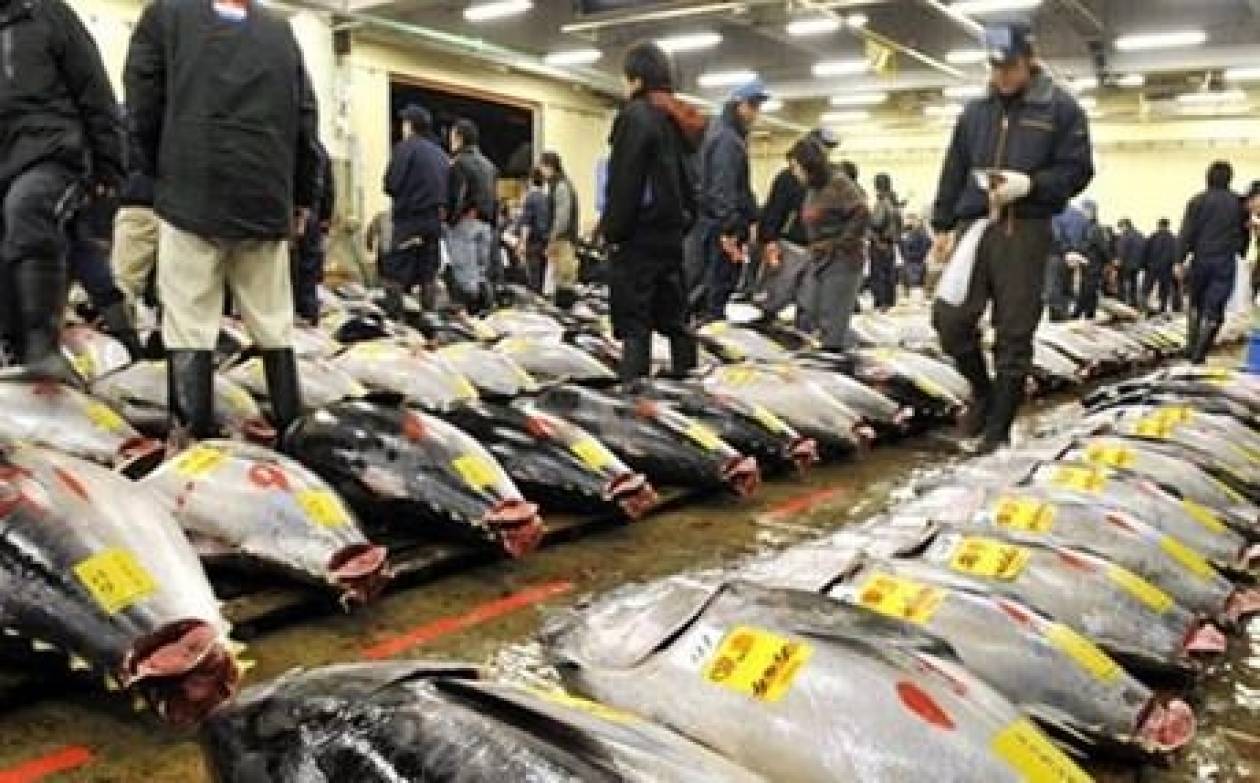 Ραδιενεργά για μια δεκαετία τα ψάρια της Φουκουσίμα