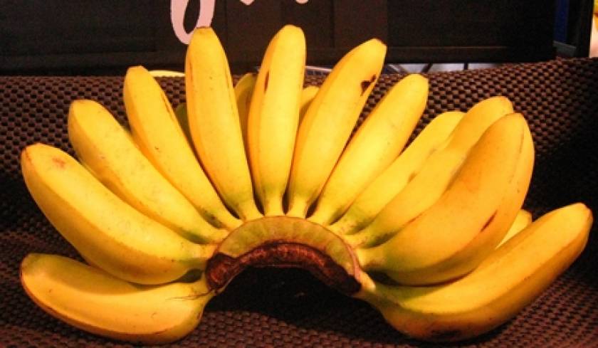 Oι μπανάνες θα μας σώσουν στο μέλλον από την έλλειψη τροφίμων