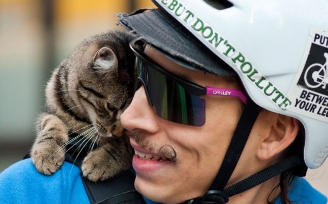 Γάτα κυκλοφορεί με ποδήλατο και μοιράζει γράμματα! (pics)