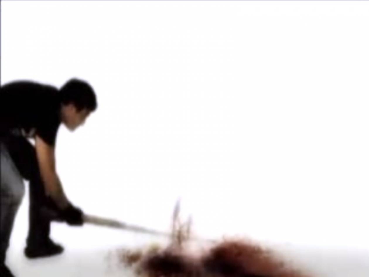 Βίντεο: Ο άνθρωπος που σκότωσε το Πουλάκι τσίου επιστρέφει!