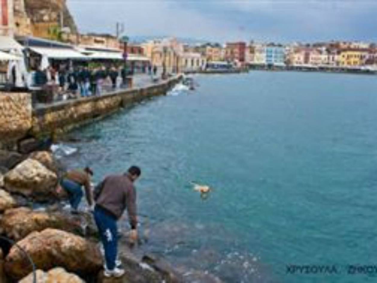 Κρήτη: Πολίτες έσωσαν αδέσποτο από βέβαιο πνιγμό