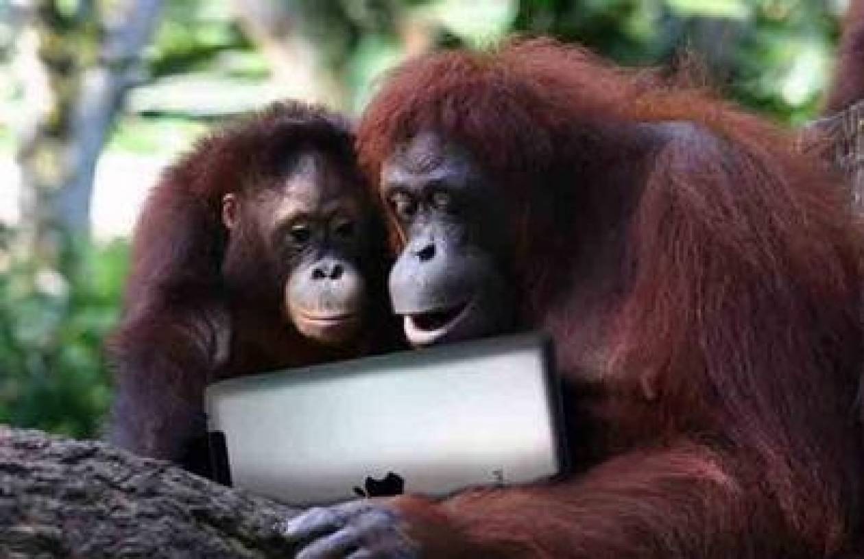 Απίστευτο! Οι πίθηκοι τρελαίνονται...για iPad!