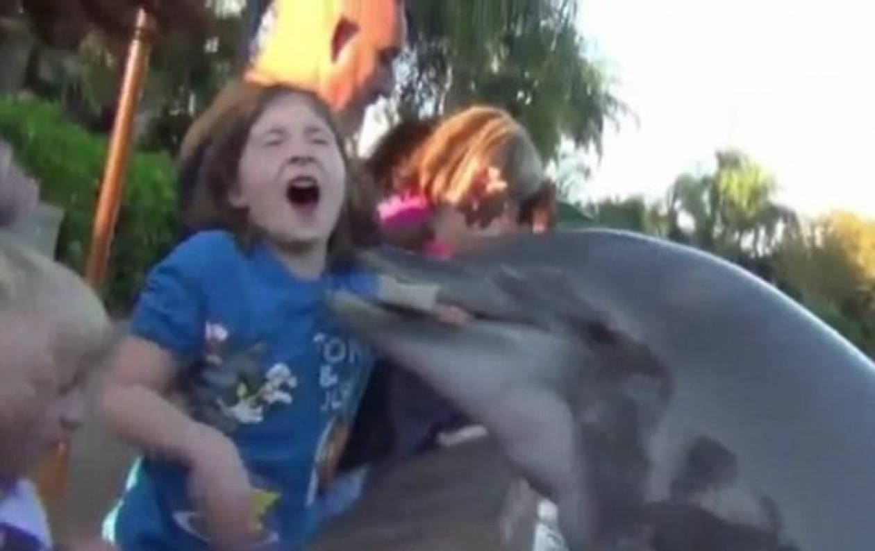 Δελφίνι δάγκωσε το χέρι ενός κοριτσιού! (βίντεο)