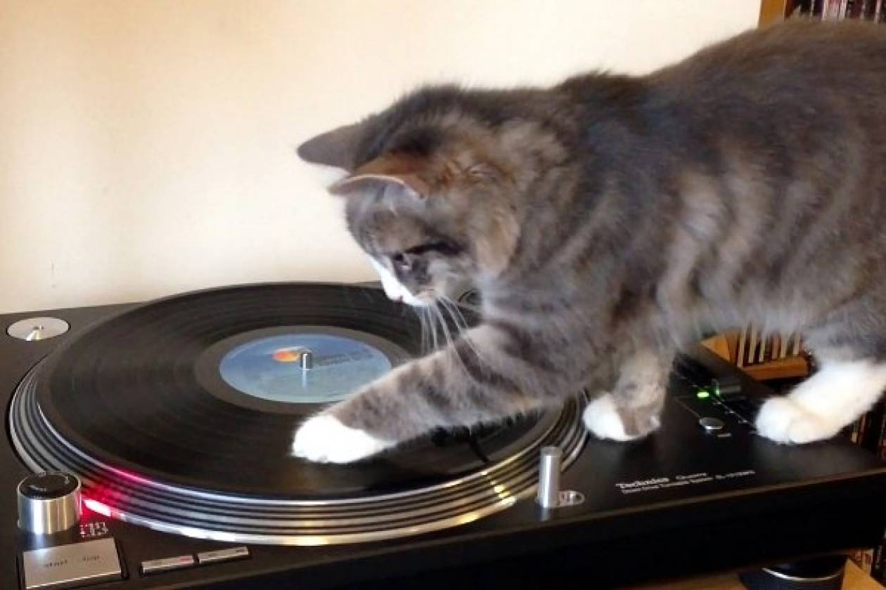Ξεκαρδιστικό βίντεο: Η γάτα... DJ!