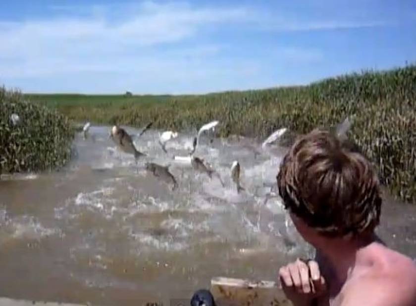 Βίντεο: Οικογένεια δέχεται επίθεση από ψάρια!