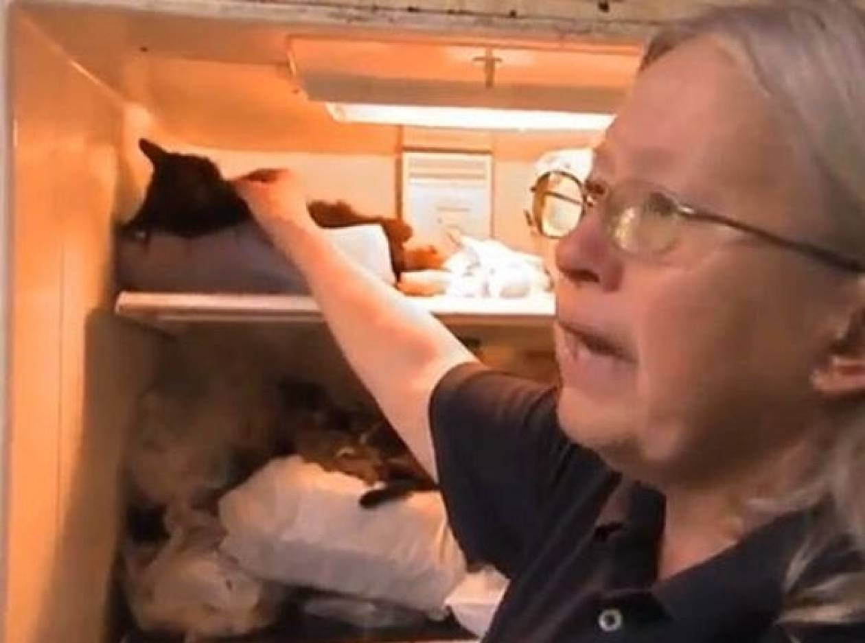 Βίντεο ΣΟΚ: Μακάβριος συλλέκτης-Έχει στο ψυγείο της 100 νεκρές γάτες