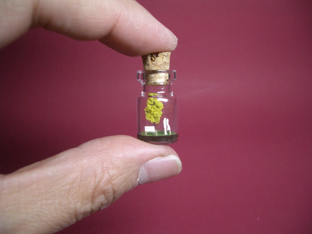 Μικρόκοσμοι μέσα σε μπουκάλια (pics)