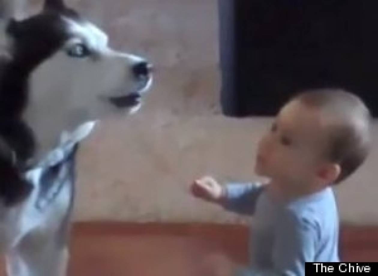 Το βίντεο που σαρώνει στο Διαδίκτυο: Μωρό συνομιλεί με... σκύλο!