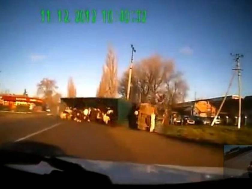 Βίντεο: Φορτηγό που μεταφέρει αγελάδες ντελαπάρει on camera