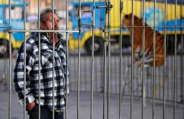 Mπήκε σε κλουβί με τίγρεις επειδή θα έκλεινε η επιχείρησή του (pics)
