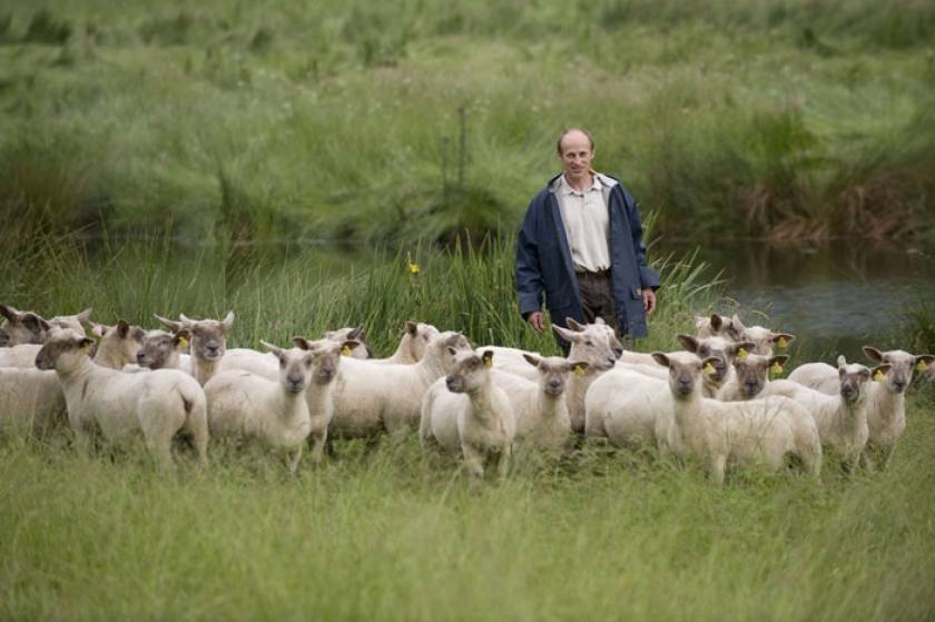 Οικογένεια Αλβανών κλέβει εδώ και 20 χρόνια κτηνοτρόφους Θεσπρωτίας