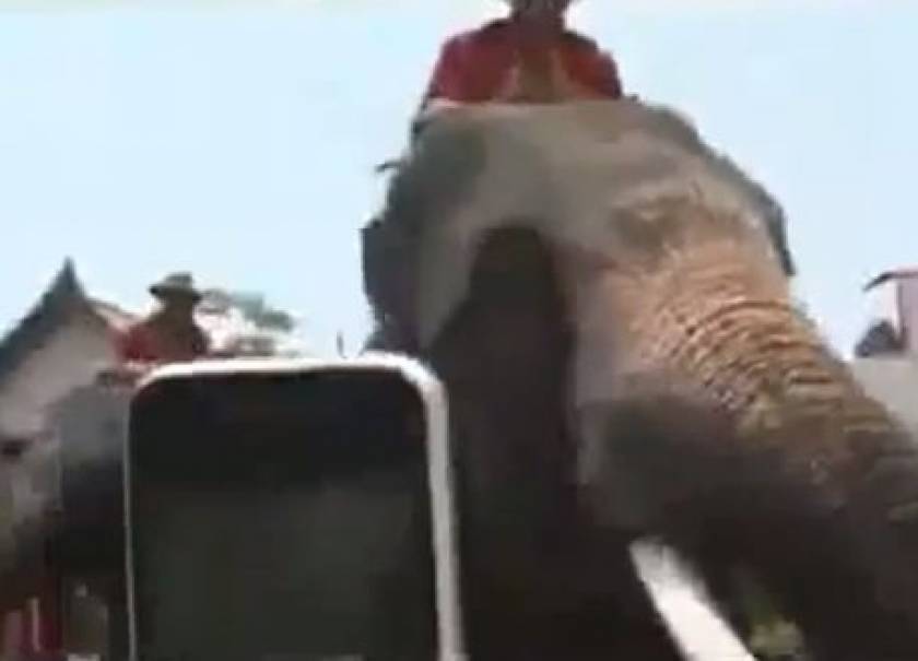 Βίντεο: Ελέφαντας τρώει κινητό τηλέφωνο