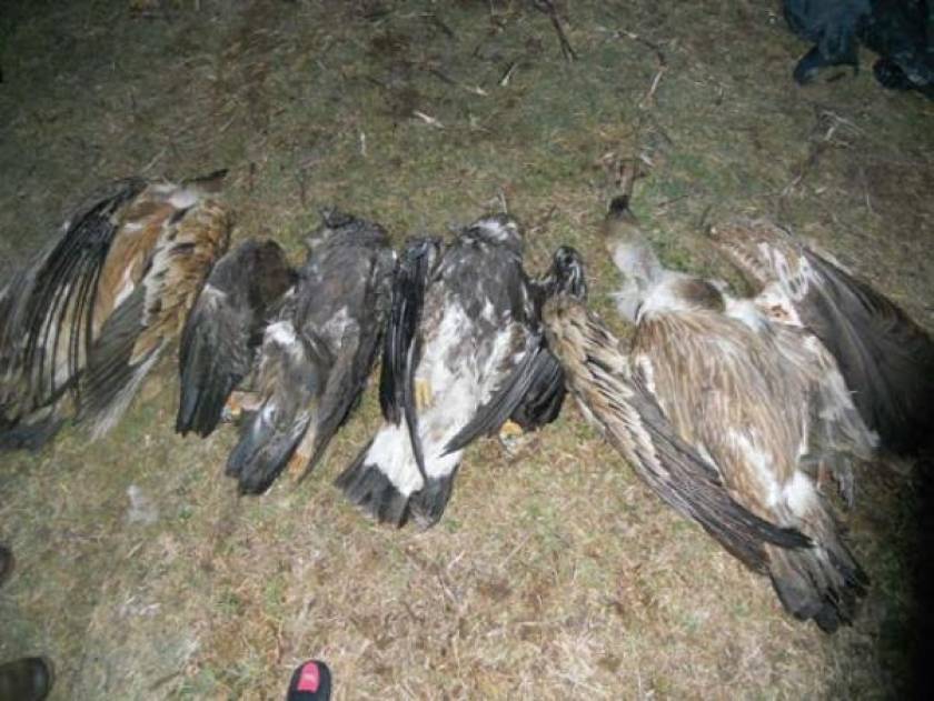 Ντροπή! Πτώματα ζώων και πουλιών στο Λουτράκι
