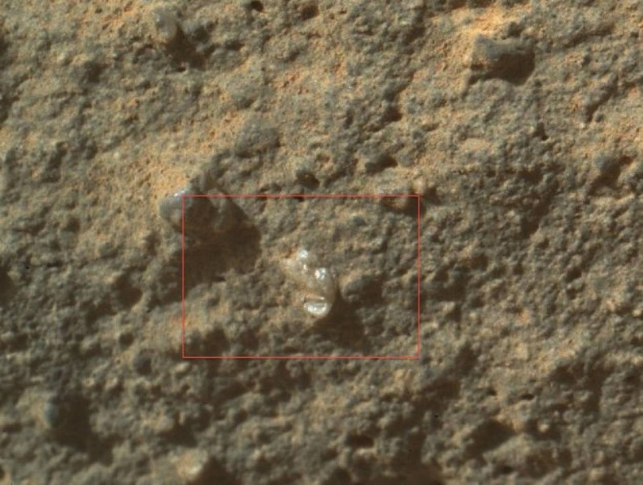 Δείτε: Το Curiosity βρήκε «εξωγήινο λουλούδι» στον Άρη!