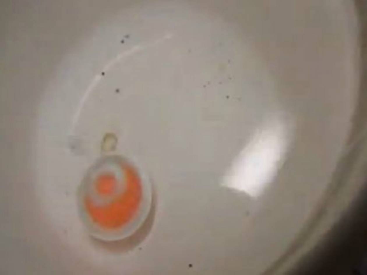 Βίντεο:Τι θα συμβεί αν ρίξεις μια καυτή μπάλα νικελίου σε νερό;