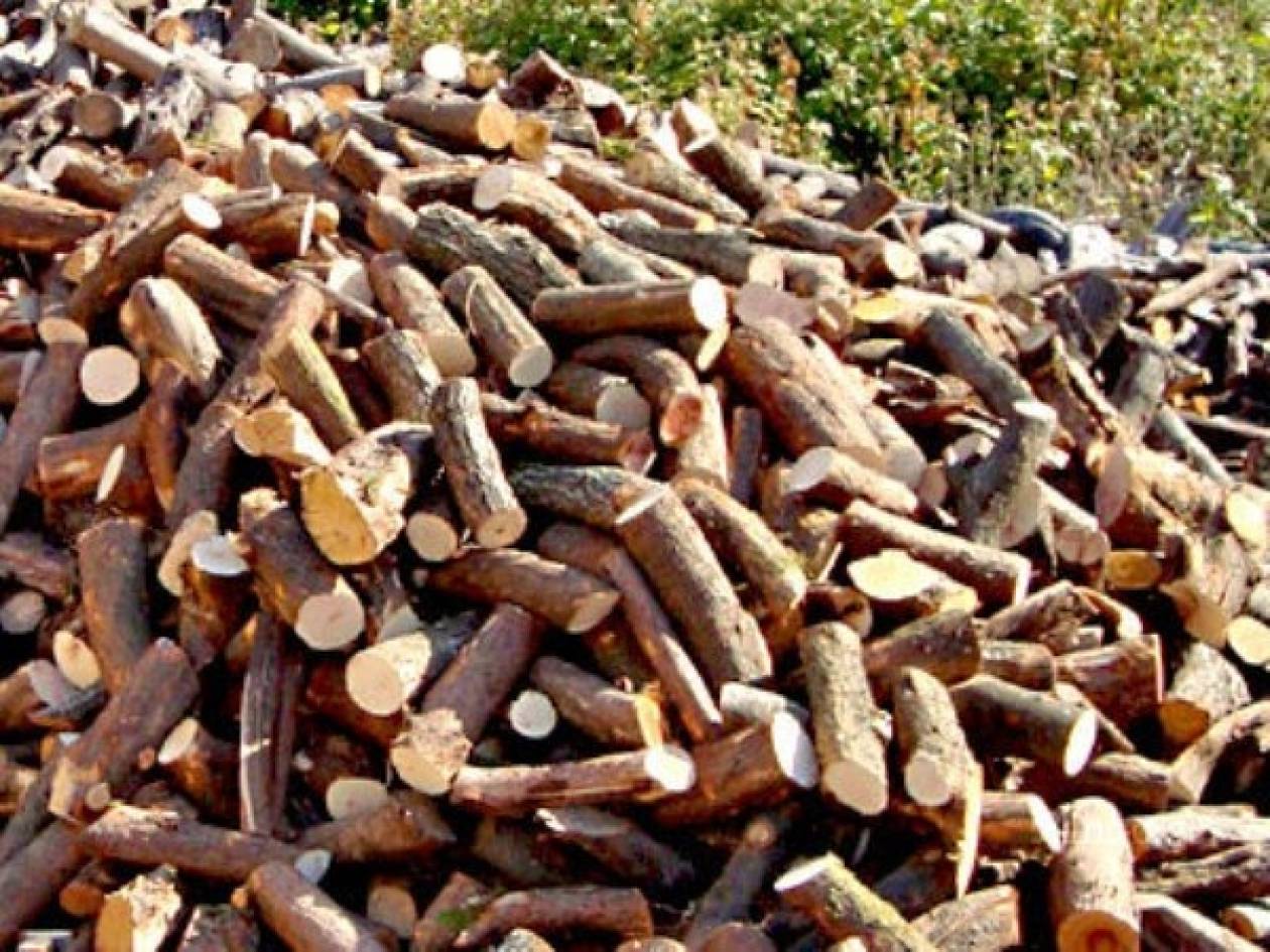 ΥΠΕΚΑ: Σε κοινωφελή ιδρύματα οι 13.088 τόνοι των κατασχεμένων ξύλων