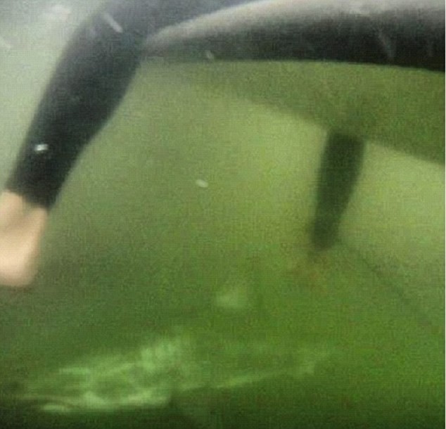 Φώτο που παγώνει το αίμα: Βρέθηκε σε απόσταση αναπνοής από καρχαρία