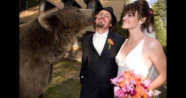 ΑΠΙΣΤΕΥΤΟ: Παντρεύτηκαν με κουμπάρο μία... αρκούδα!