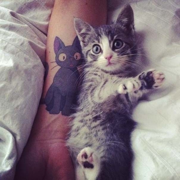 Λατρεύουν τις γάτες και τις έκαναν τατουάζ!(pics)