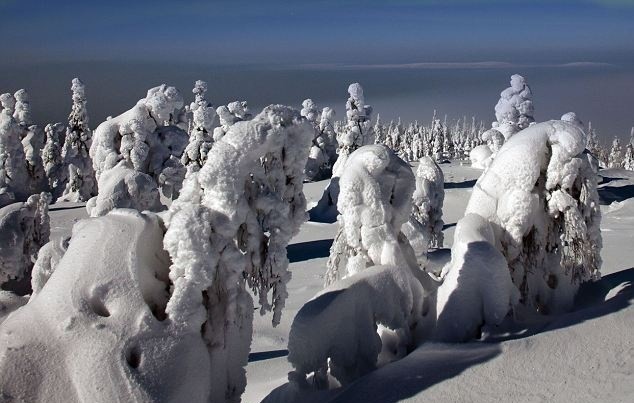 Δείτε «φυσικά» έργα τέχνης από το λαπωνικό χειμώνα! (pics)