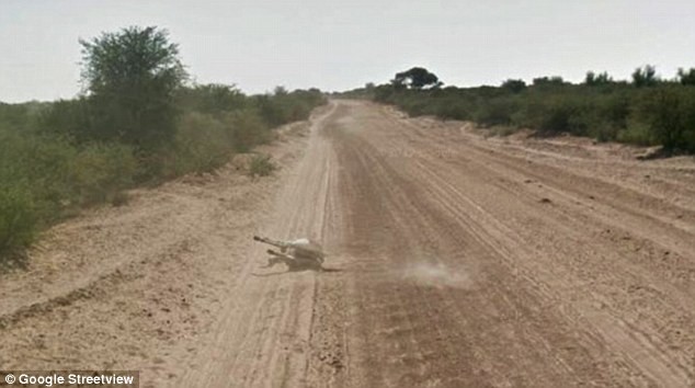 Αυτοκίνητο της Google παρέσυρε και σκότωσε γάιδαρο; (pics)