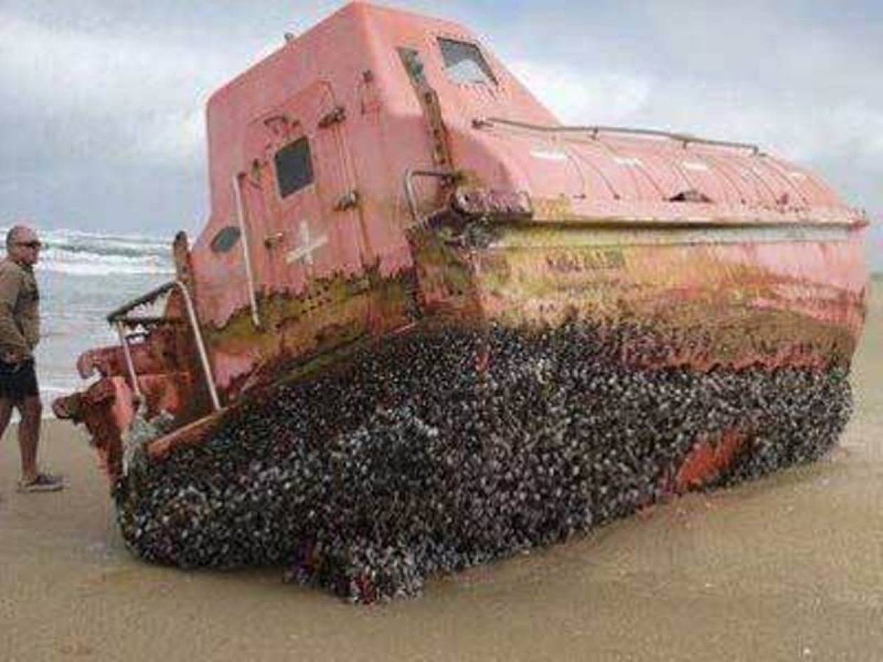 Πλοίο-φάντασμα ξεβράστηκε σε ακτή της Αυστραλίας