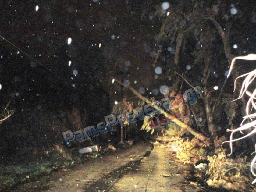 Πρέβεζα: Δέντρο έπεσε σε καλώδια της ΔΕΗ – Διακοπές ρεύματος