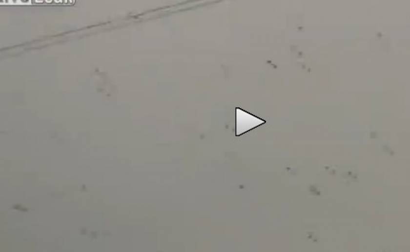 Ανατριχιαστικό βίντεο: Ο ουρανός γέμισε... αράχνες