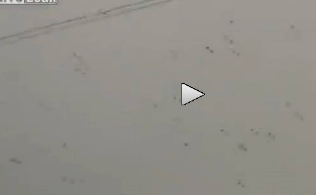 Ανατριχιαστικό βίντεο: Ο ουρανός γέμισε... αράχνες