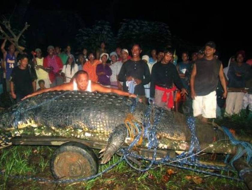 Πέθανε ο μεγαλύτερος κροκόδειλος στον κόσμο