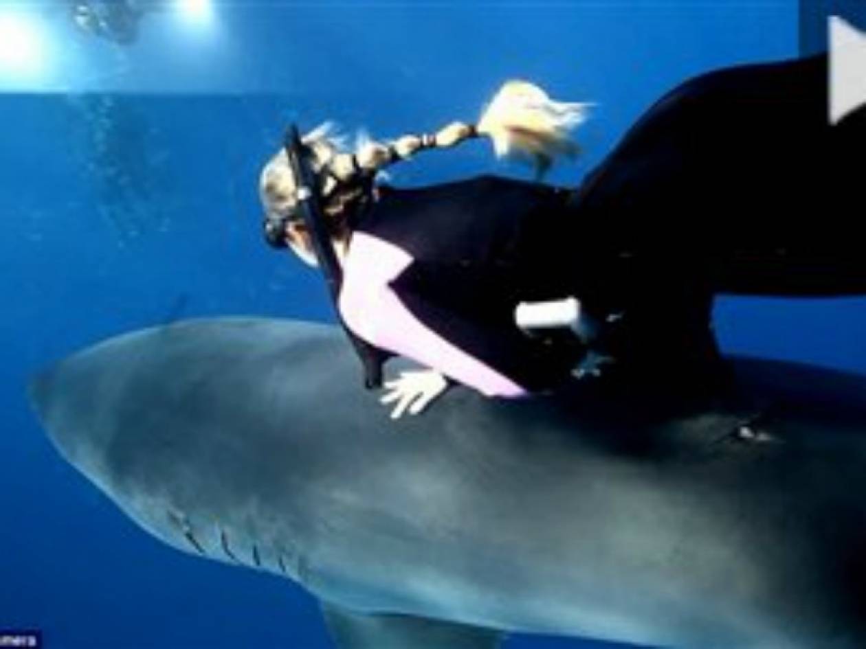 Βίντεο: Δύτρια μιλάει με λευκό καρχαρία!