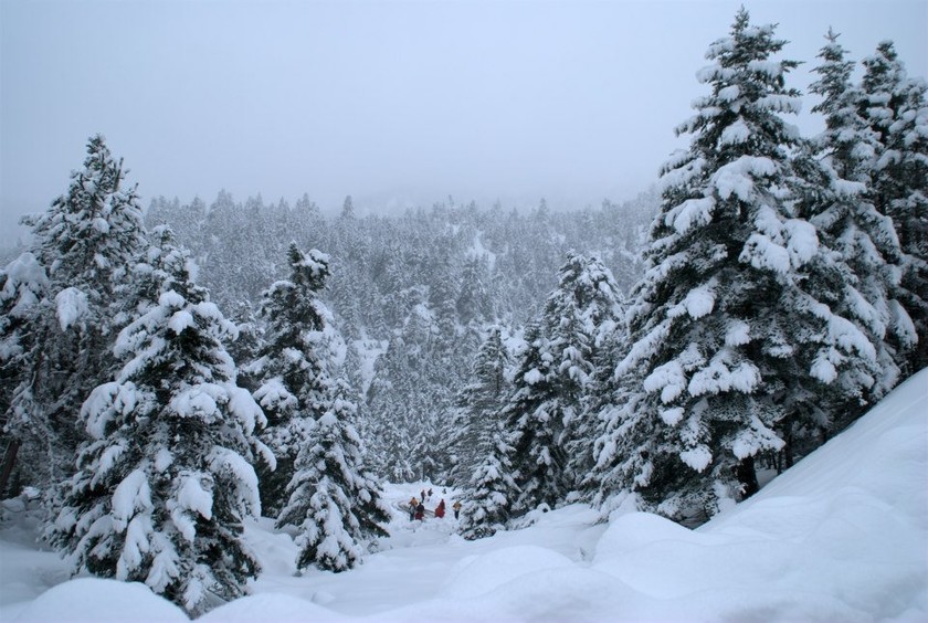 Πάνω από τρία μέτρα το χιόνι στον Παρνασσό (pics)