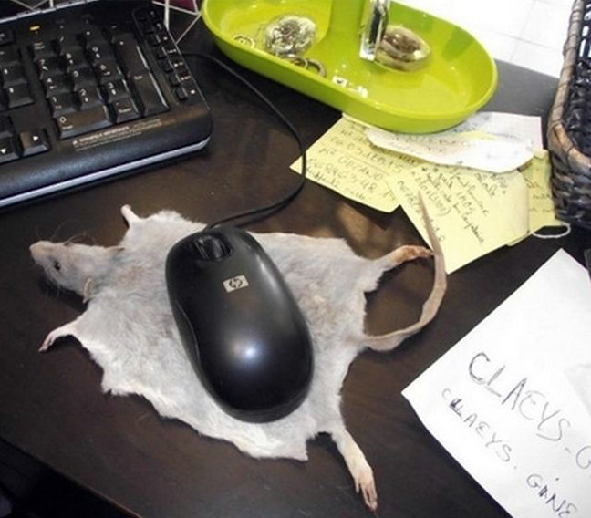 Δείτε: Ένας υπολογιστής, δύο ποντίκια!